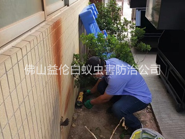 西南投放灭鼠装置工程