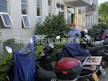 松岗厂区杀虫灭蚊工程