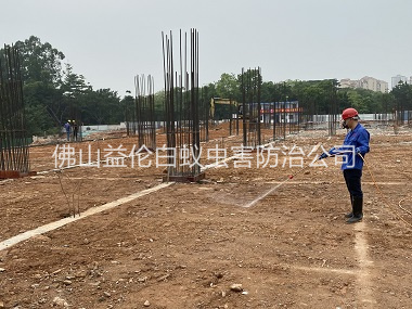 罗村新建白蚁预防工程