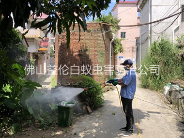 三水区灭蚊预防 “两热”工程