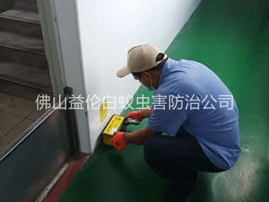 罗村工厂车间室内布置粘鼠板工程